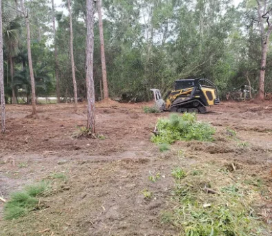 Skid steer clearing an overgrown lot