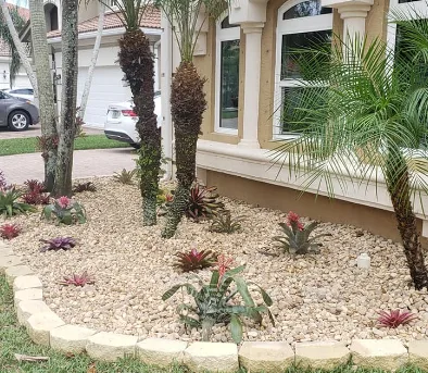 Planting bed with rock, bromeliads and palms